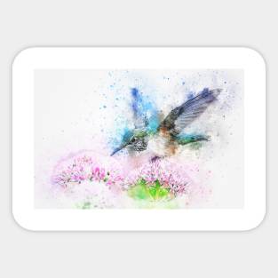 Flying hummingbird with pink flower Sticker